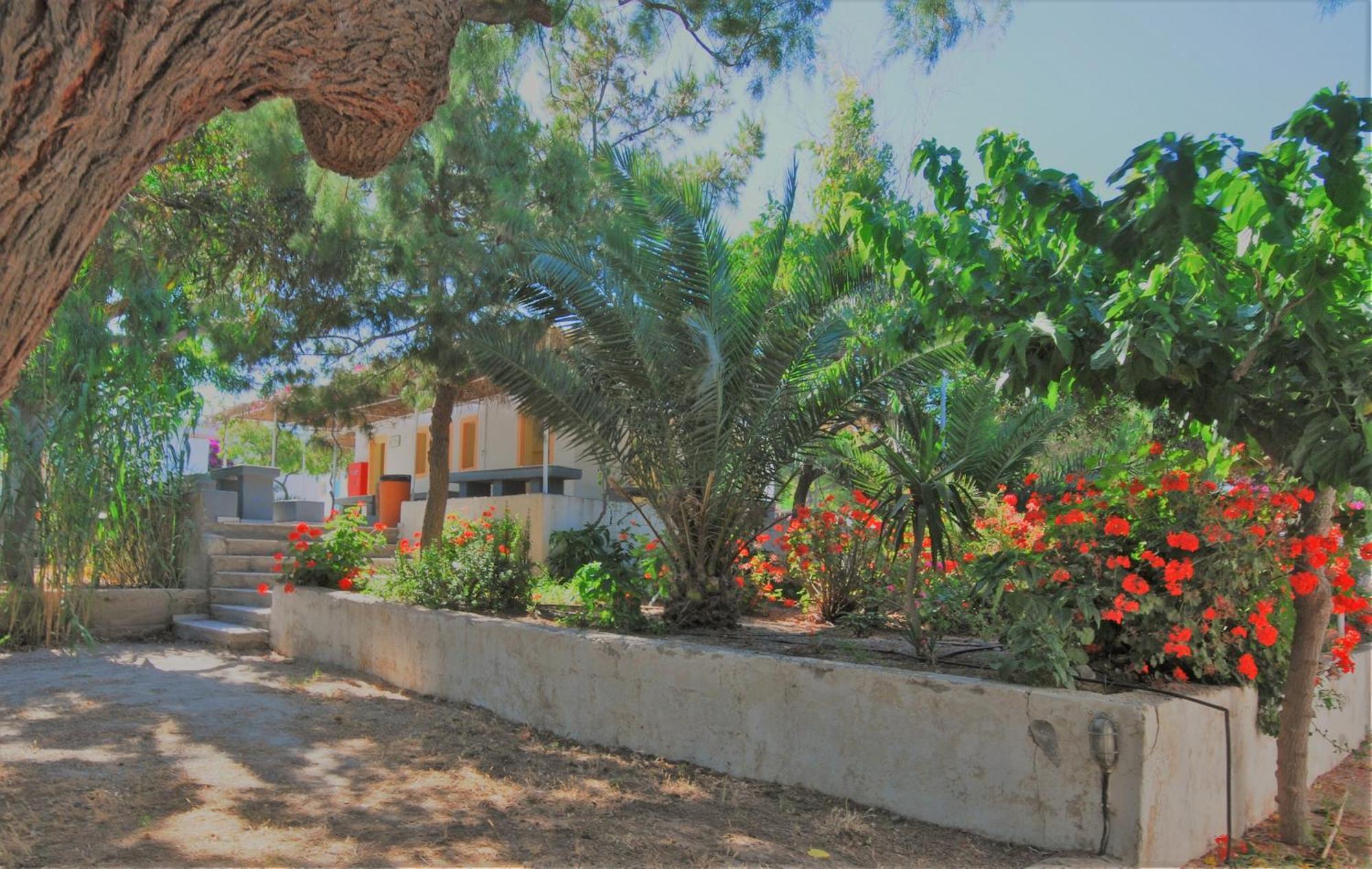Santorini Camping & Hostel Fira  Exterior foto